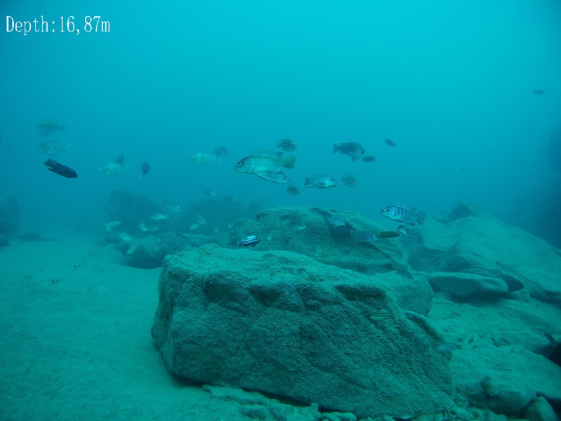 Chinyankwazi Island 15